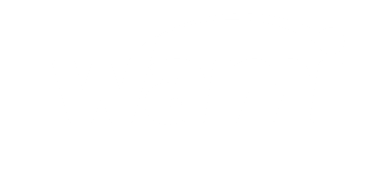 wami logo